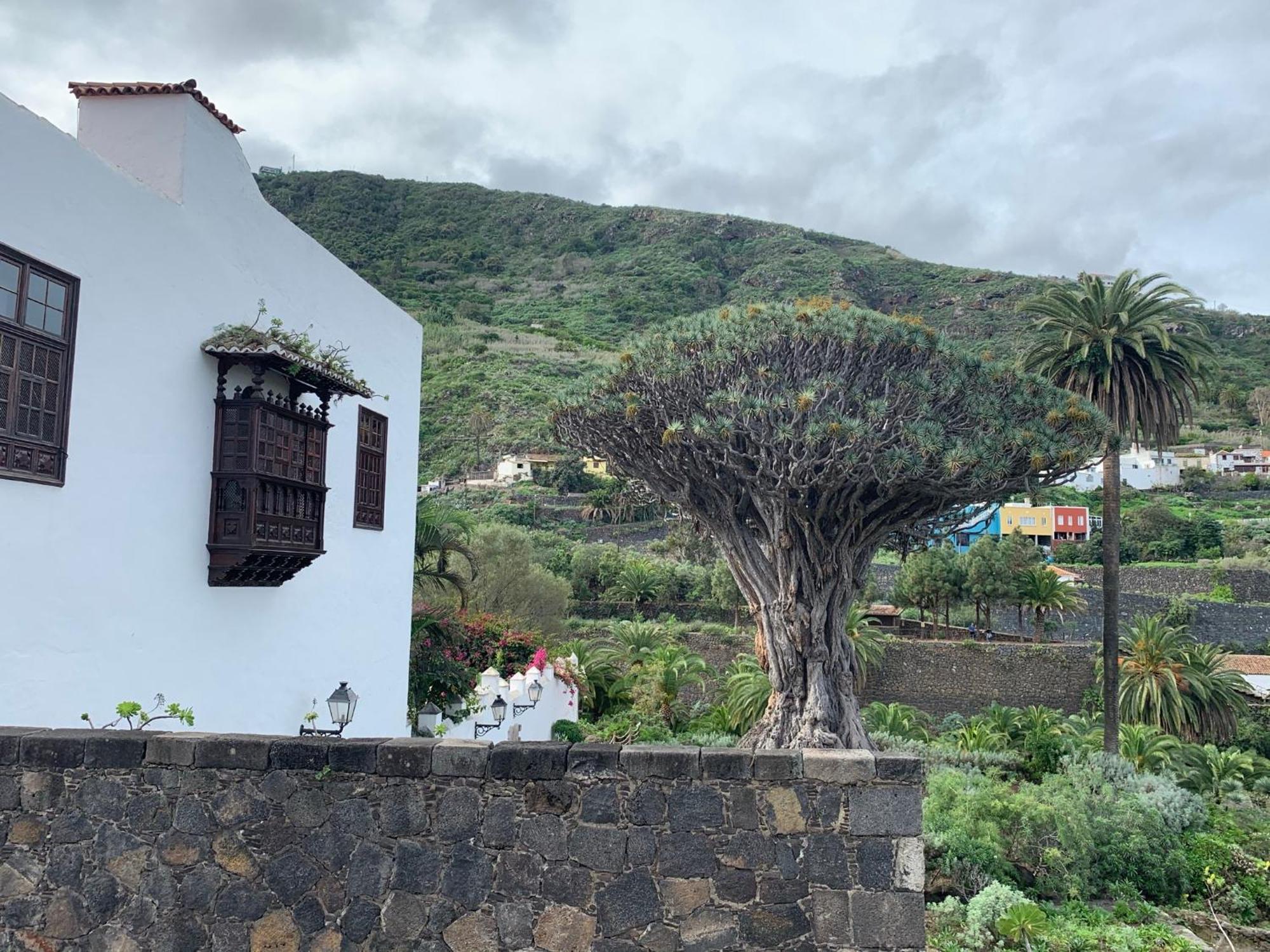 Casa La Baja Villa Garachico  Ngoại thất bức ảnh